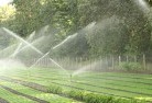 Cadgee NSWlandscaping-water-management-and-drainage-17.jpg; ?>